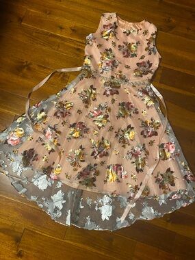 Girls Size 16 Rare Editions Blush Pink Floral Overlay Party Dress